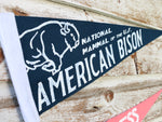 Bison American Buffalo Pennant